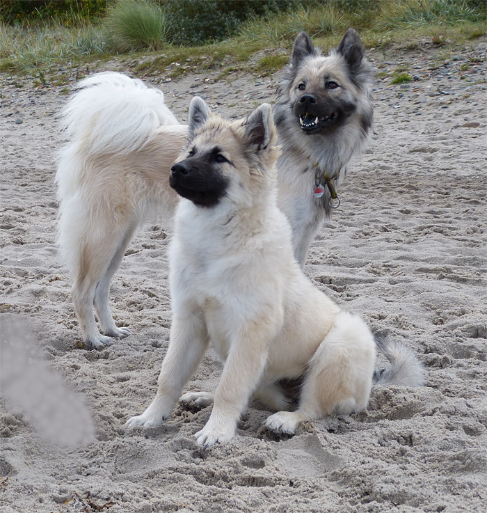 0027 Fly und Tochter.jpg